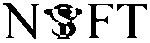 NSFT-logo